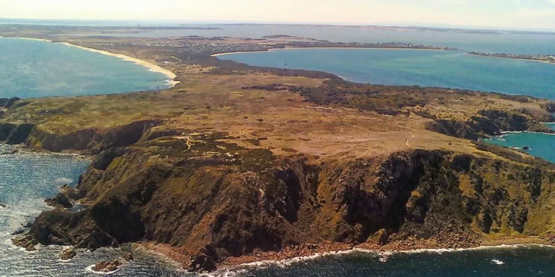 Woolamai Surf Beach