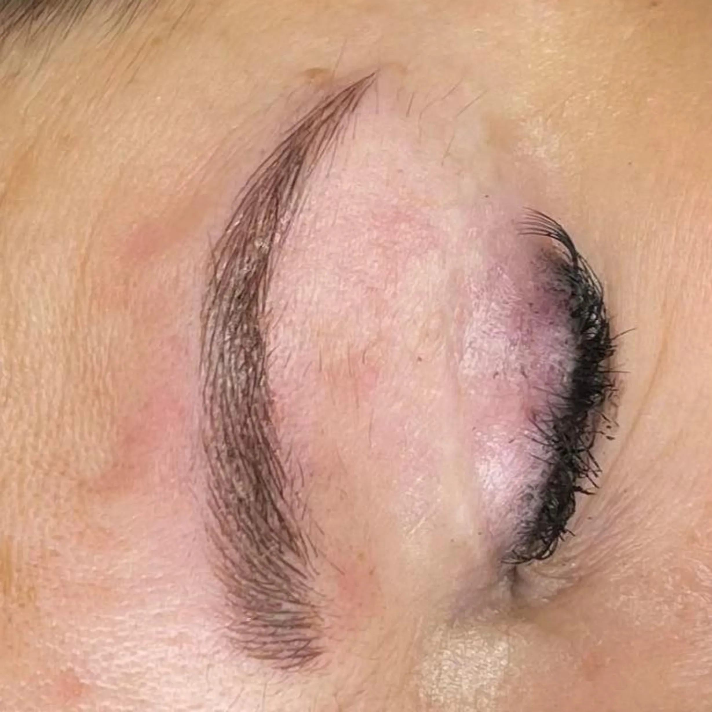 Eyebrow tattoo manual