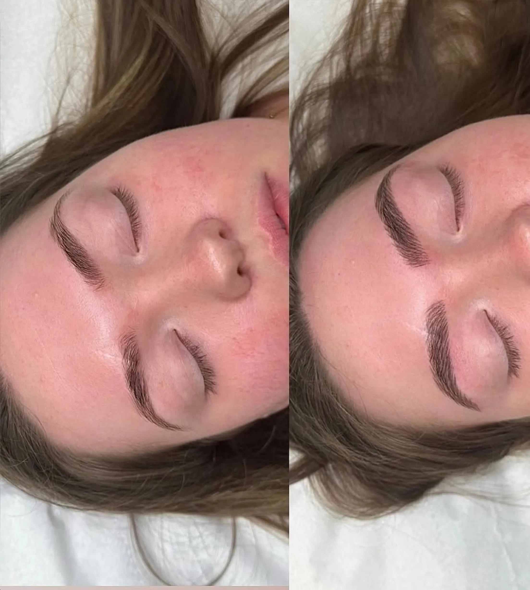 Microblading course manual