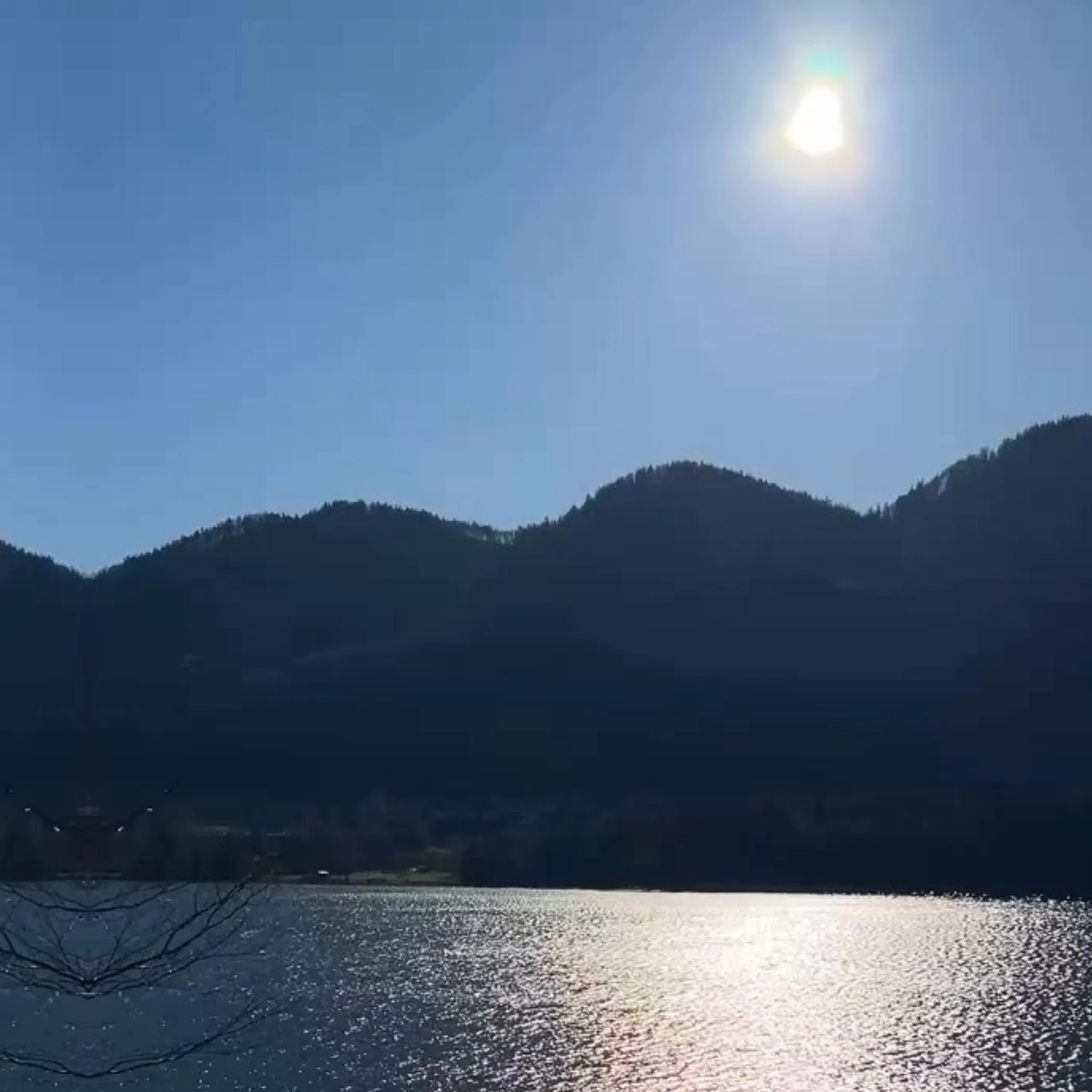 natural swimming water setting