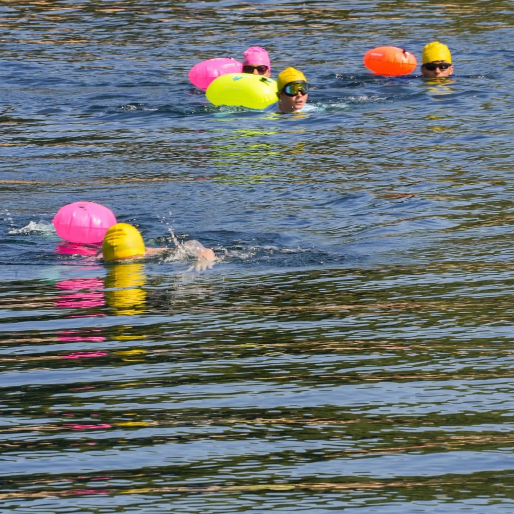 open-water swimmers in a river