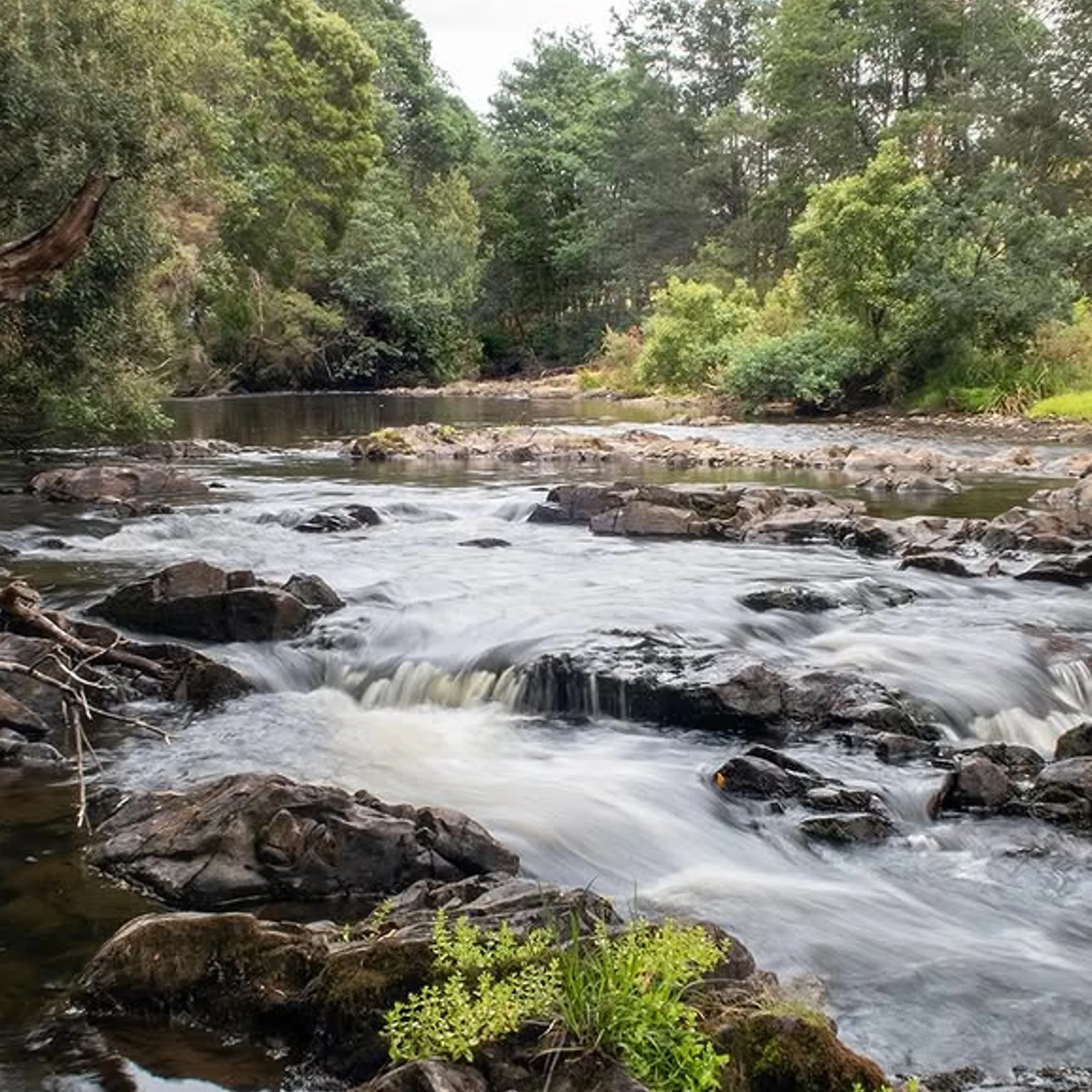 australian river for swimming